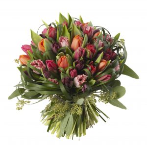 Mixed Tulip Dome