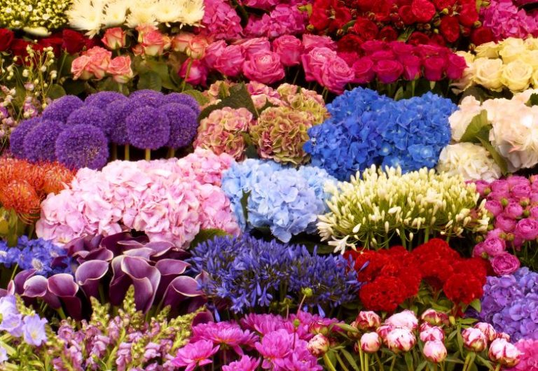 ContactUs The Flower Stand Battersea